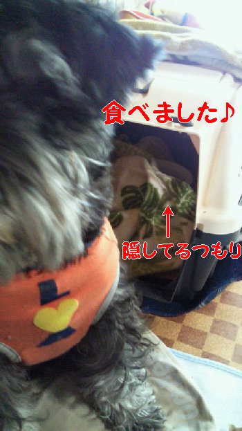 食べたぞ.jpg