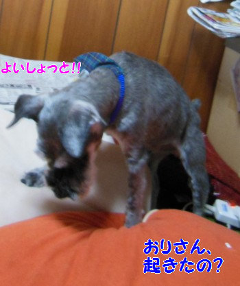 食事31.jpg