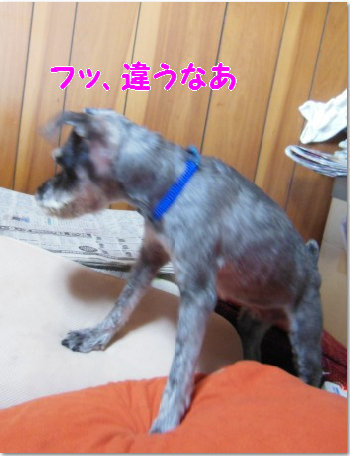 食事34.jpg