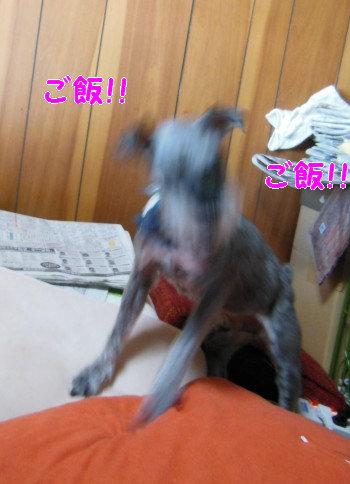食事35.jpg