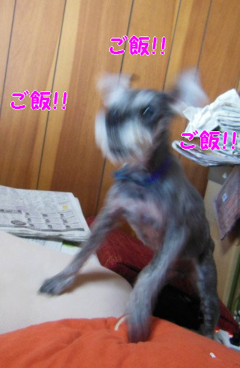 食事36.jpg