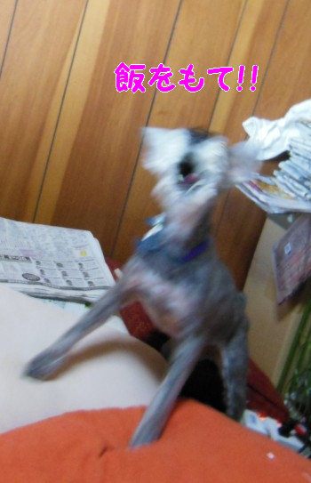 食事37.jpg