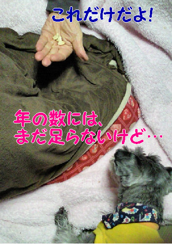 おねだり.jpg