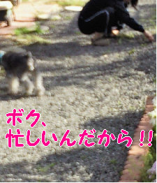 がんばってる〜.jpg