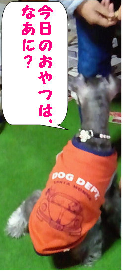 ご褒美.jpg