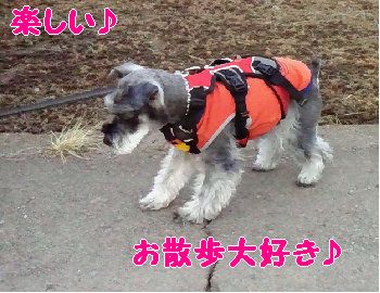 せっせっ.jpg