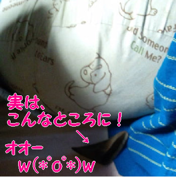 その実態は!.jpg