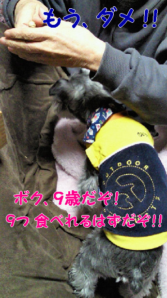 ムリだとしりながら.jpg