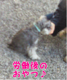 労働後の一個.jpg
