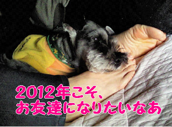 夢見る おりばー.jpg