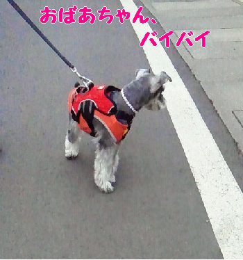 挨拶する.jpg
