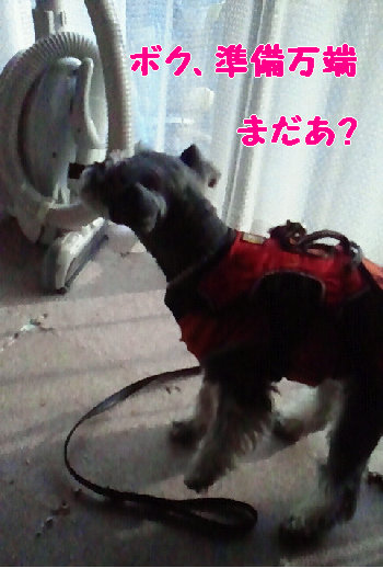期待する.jpg